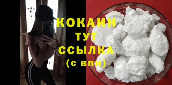 прущие грибы Волоколамск