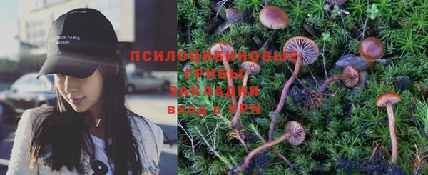 ПСИЛОЦИБИНОВЫЕ ГРИБЫ Волосово