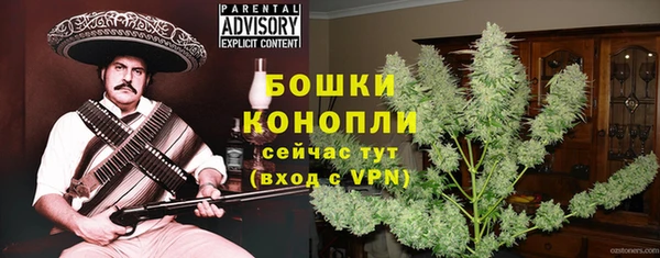 прущие грибы Волоколамск