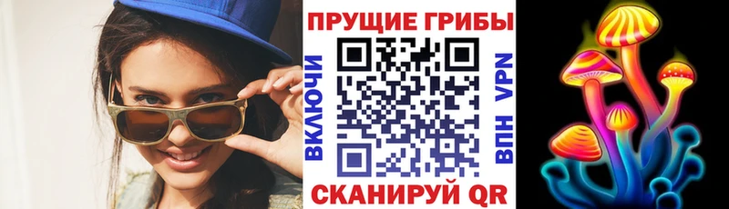 как найти   Славянск-на-Кубани  blacksprut зеркало  Галлюциногенные грибы Psilocybine cubensis 